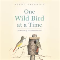 One_Wild_Bird_at_a_Time